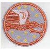   US Air Force 99th Fighter Squadron Patch Of The Tuskegee Airmen