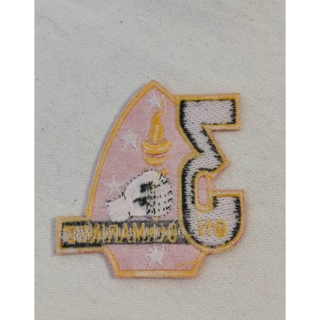 US Marines 3rd Battalion 6th Marine Regiment Patch