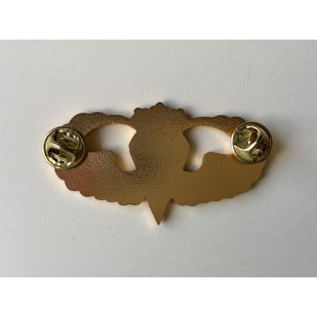 Republic of China ROC Taiwan Air Force Paratrooper 3 Star Master Badge 