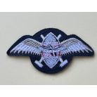 Kenya Air Force Pilot Wings Patch