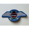 Kenya Air Force Pilot Wings Patch