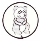 US Air Force 2nd Squadron Pandas WW2 AVG Flying Tigers CURTIS P-40 Warhawk Patch