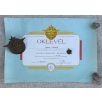   Professional Drivers Commendation badge & car radiator Grille badge  -  For  driving w/o accidents+ Certificate