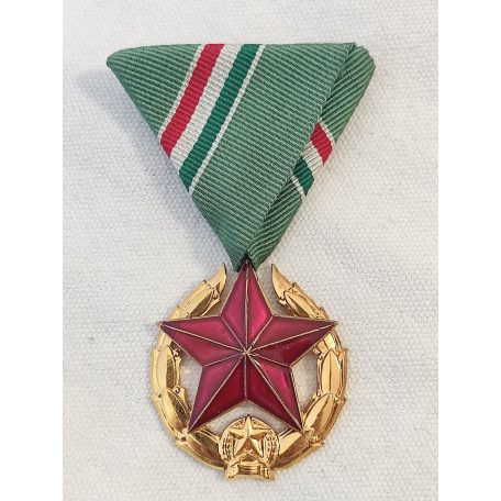 Public Security Medal Golden Class for Border Guard Troops