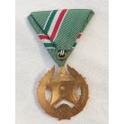 Public Security Medal Golden Class for Border Guard Troops