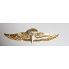 Indonesian Army Airborne Para Wings Badge (70mm)