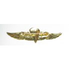 Indonesian Army Airborne Para Wings Badge (70mm)