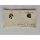 Taiwan - Special Terrain Parachute Qualification Wing Badge