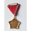 Hungarian Excellent Work Medal Forestry