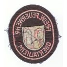 Obertalheim City Germany Freiwillige Feuerwehr/ Fire Department Patch