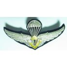 Thailand Royal Thai Air Force RTAF Parasail Badge