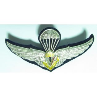 Thailand Royal Thai Air Force RTAF Parasail Badge