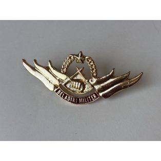 Indonesia Army Military TNI-AD Beladiri Militer Badge