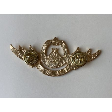 Indonesia Army Military TNI-AD Beladiri Militer Badge