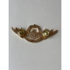 Indonesia Army Military TNI-AD Beladiri Militer Badge