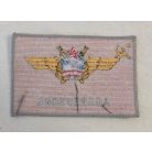 US Air Force Aggressor Squadron Russian Patch