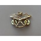 Indonesia Army Halo Parachute Freefall Badge