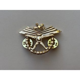 Indonesia Army Halo Parachute Freefall Badge