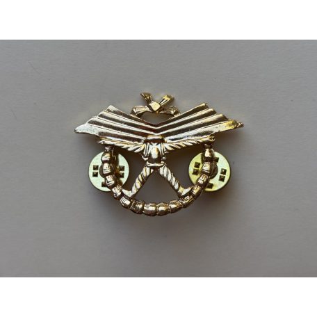 Indonesia Army Halo Parachute Freefall Badge
