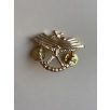 Indonesia Army Halo Parachute Freefall Badge