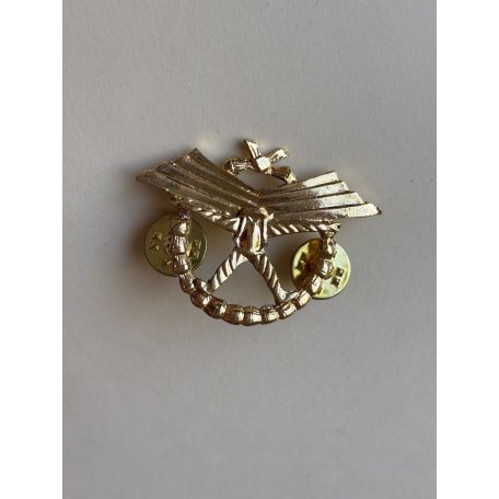 Indonesia Army Halo Parachute Freefall Badge
