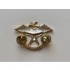 Indonesia Army Halo Parachute Freefall Badge