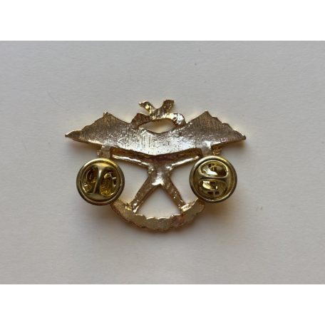 Indonesia Army Halo Parachute Freefall Badge