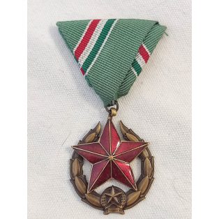 Public Security Medal Bronze Class for Border Guard Troops