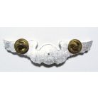 Taiwan- Basic Radio Operator Badge (Silver) (Numbered)