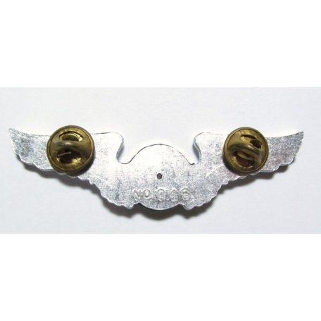 Taiwan- Basic Radio Operator Badge (Silver) (Numbered)