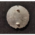 Senegal Douanes Badge