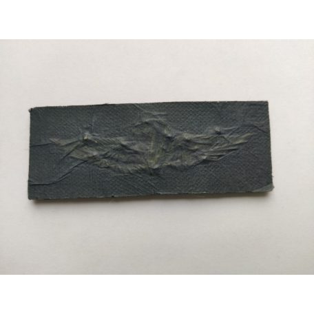  Unknown (Indonesian?) Parachutist Airborne Wings Badge heavy golden embrodiery Black