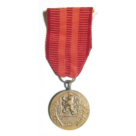 Czechoslovakia Homeland Service Military Medal 1960