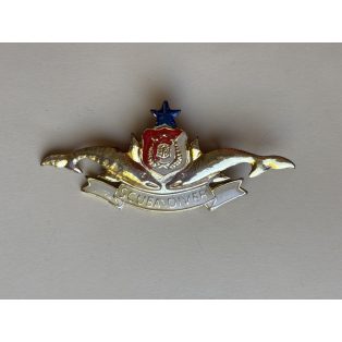   Indonesia Scuba Diver wings Polri 1 (Indonesian Police) with 1 Blue Star Badge 
