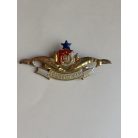 Indonesia Scuba Diver wings Polri 1 (Indonesian Police) with 1 Blue Star Badge 