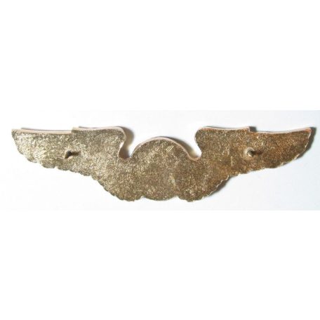 Taiwan- Basic Radio Operator Badge (Gold)