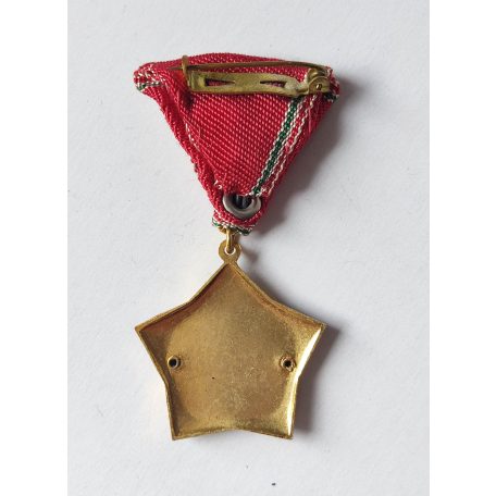 Hungarian Excellent Work Medal - Ministry of Heavy Industry device