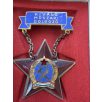   Hungarian Excellent Technical Worker Award badge and large award certificate 1954