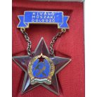 Hungarian Excellent Technical Worker Award badge and large award certificate 1954