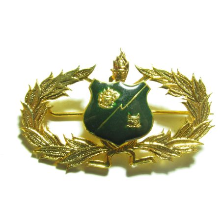 Thai Army C.I. Badge