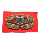 Royal Thai Air Force Aviator Badge