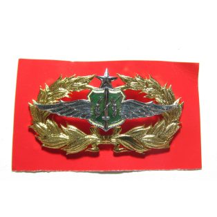 Royal Thai Air Force Aviator Badge