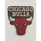 US NBA Chicago Bulls Taurus Logo Patch
