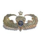 Taiwan- Paratrooper Badge
