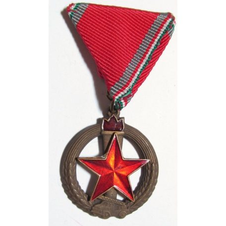 Hungarian Fire Protection Medal Bronze Grade