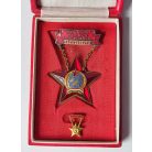 Hungarian Rákosi Era Profession Excellent Worker Light Industry Badge and Miniature in Box