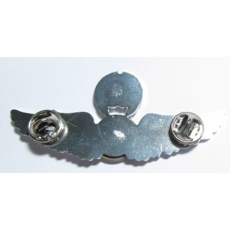 Taiwan- Senior Medical Badge (Silver)