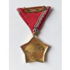 Hungarian Excellent Work Medal - Ministry of Justice device