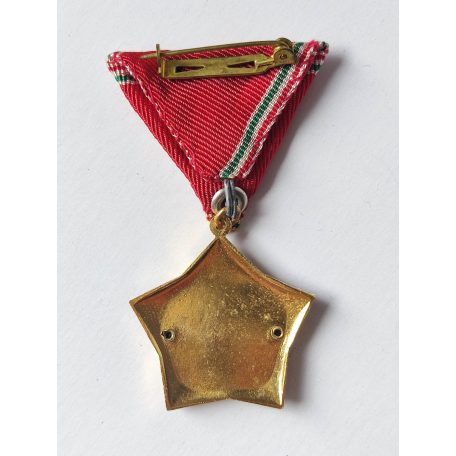 Hungarian Excellent Work Medal - Ministry of Justice device