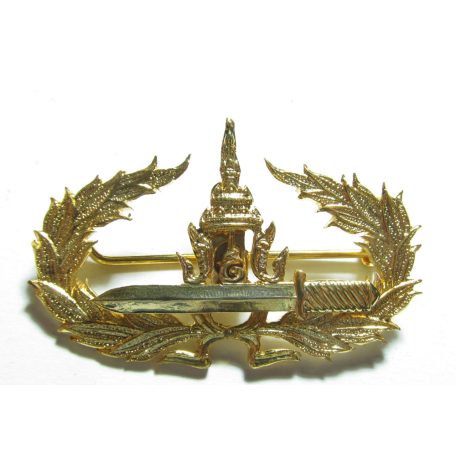 Thailand Honor Badges for Volunteer for People Protections